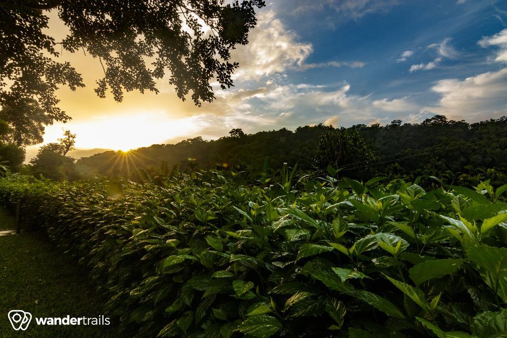 Whispering Willows Gudalur  외부 사진
